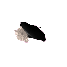 Item #179
