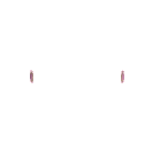 Item #81